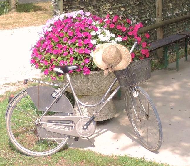 Romans di Varmo B&B I Prati Di Varmo מראה חיצוני תמונה